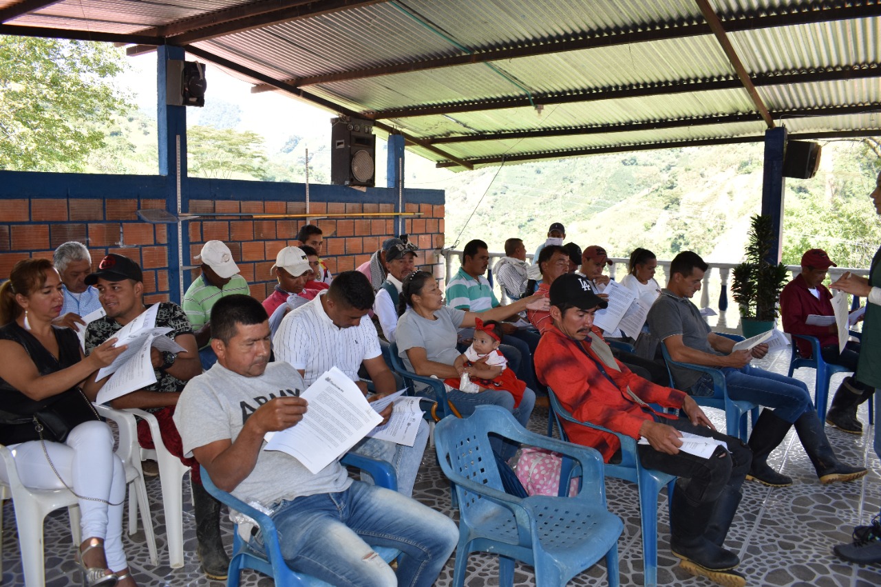 ¿Cómo avanzan los Pagos por Servicios Ambientales (PSA) en el Tolima? 4