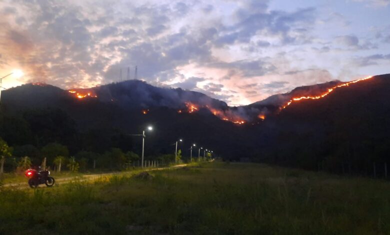¡Alerta Roja en el Tolima! Más de 40 Incendios Arrasan la Cobertura Vegetal del Departamento 1