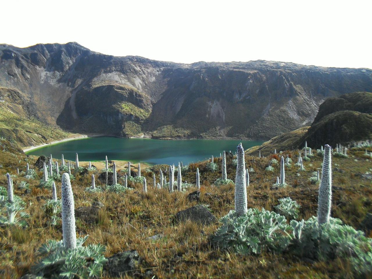 Apertura del Parque Nacional Natural de Los Nevados con medidas de seguridad 1