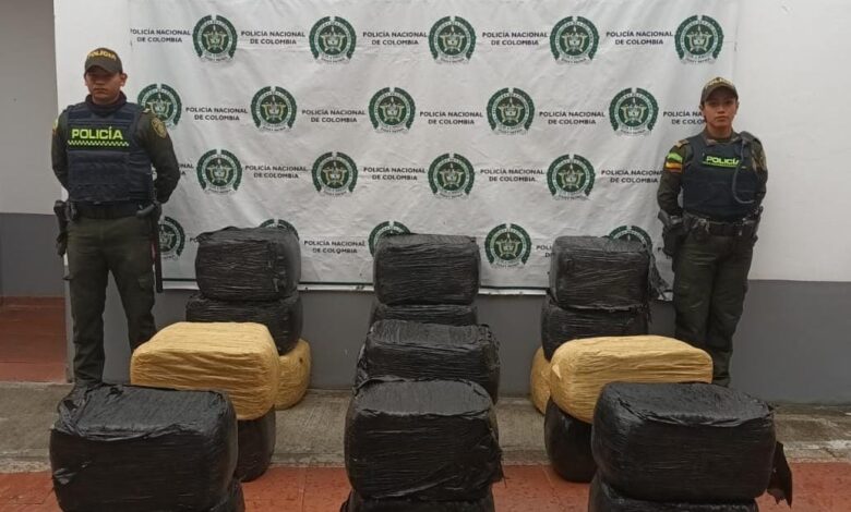 Operativo policial incauta marihuana de 500 millones de pesos en Rovira, Tolima 1