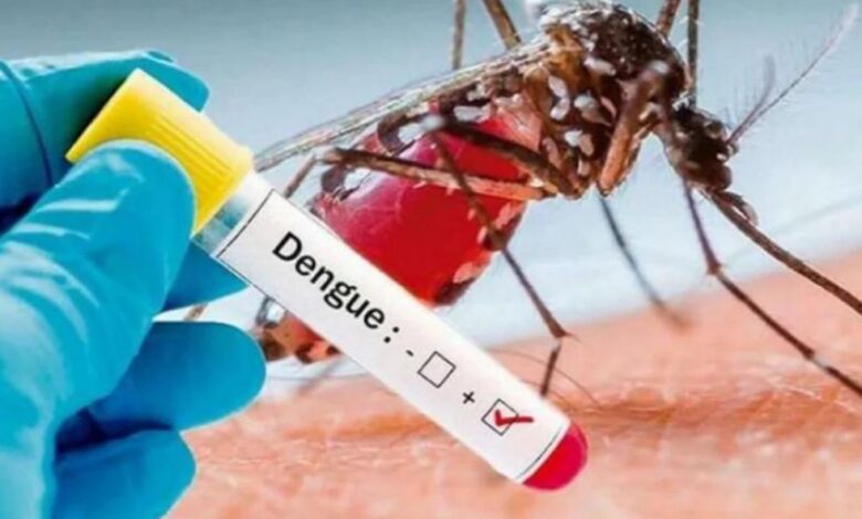 Más de 2.000 casos de dengue se han registrado en Ibagué 1