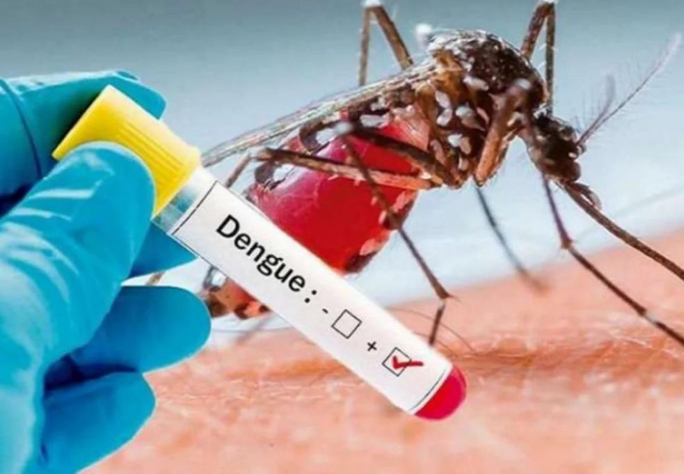 Más de 2.000 casos de dengue se han registrado en Ibagué 1