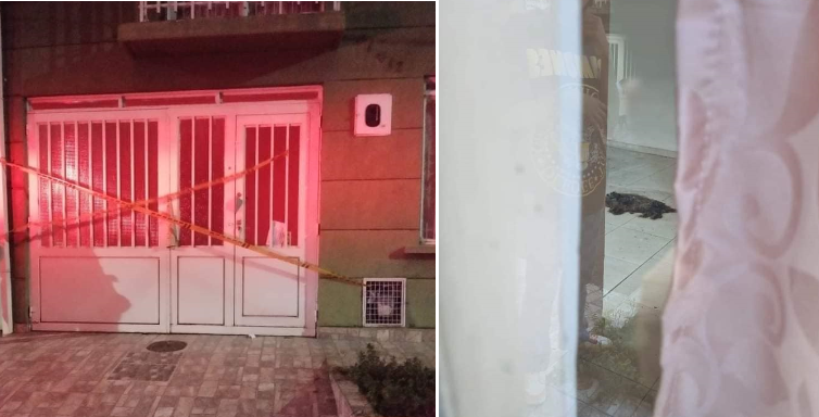 Secretario de Gobierno de Ibagué rechazó caso de perrito hallado muerto dentro de una casa 1