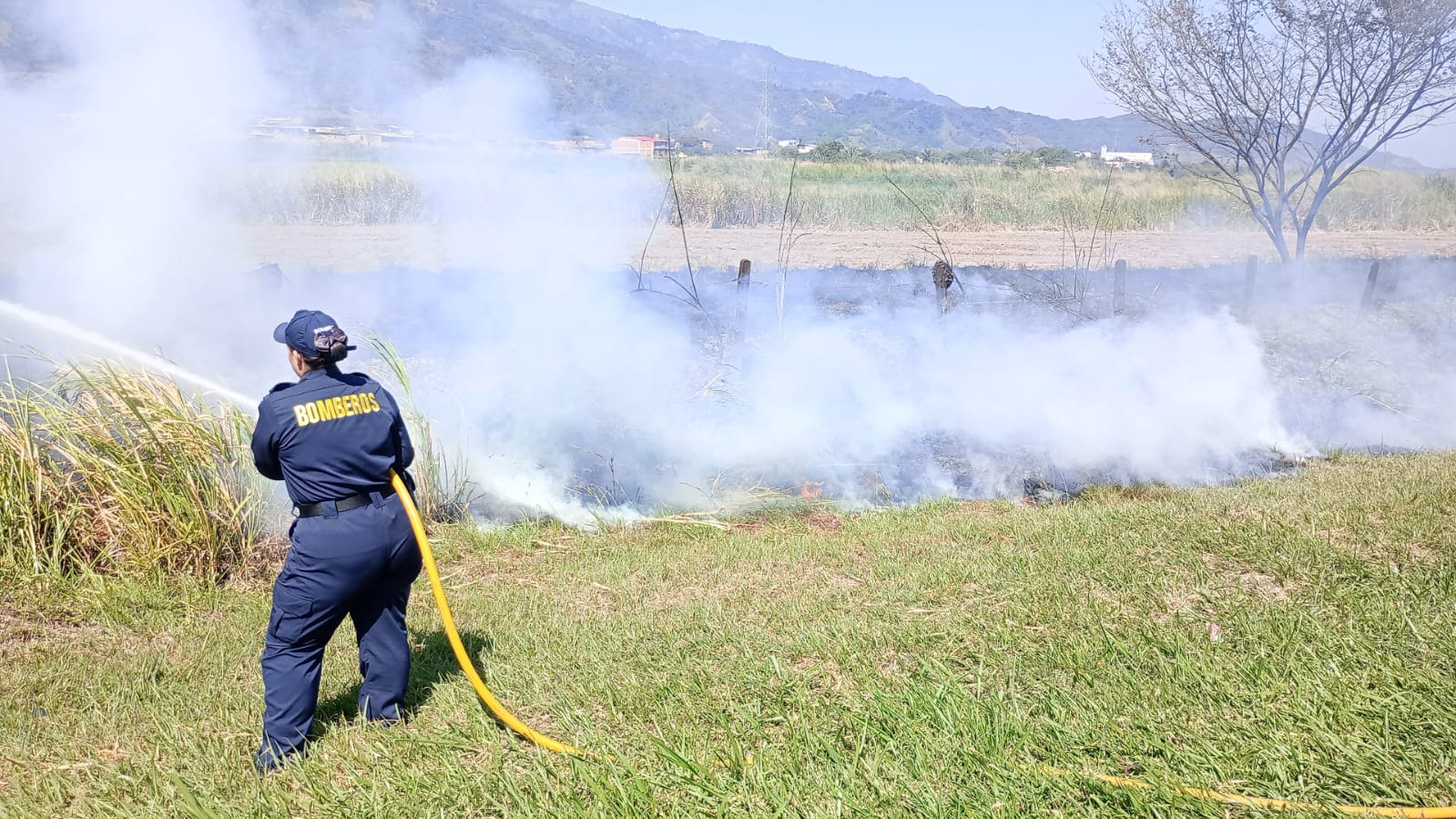 Siguen en aumento los incendios forestales en Ibagué 3