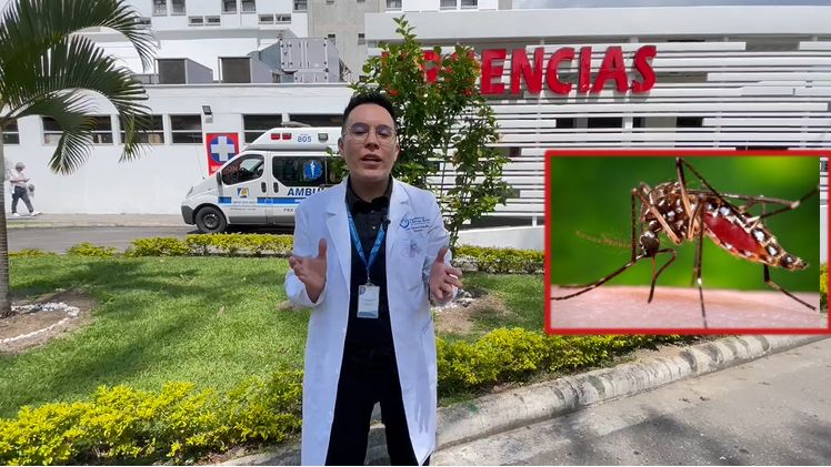 Preocupante: el dengue sigue en aumento en el Tolima 1