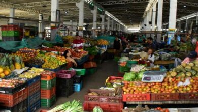Oportunidades para productores: Impulsan potencial comercial en plazas de mercado en el Tolima 6