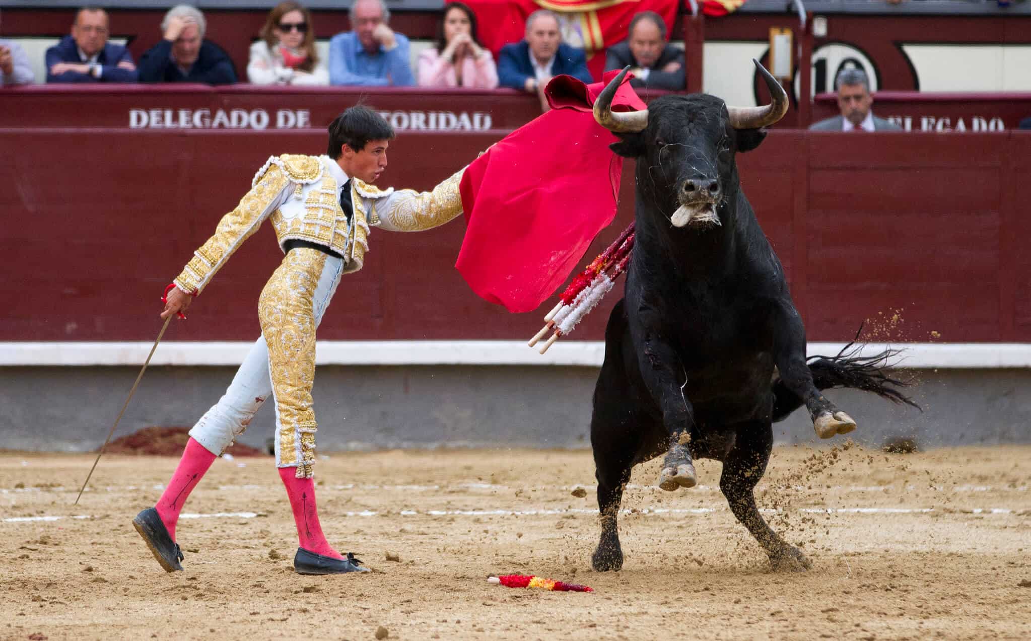 Colombia da el paso: Se prohíben las corridas de toros en histórica votación 1