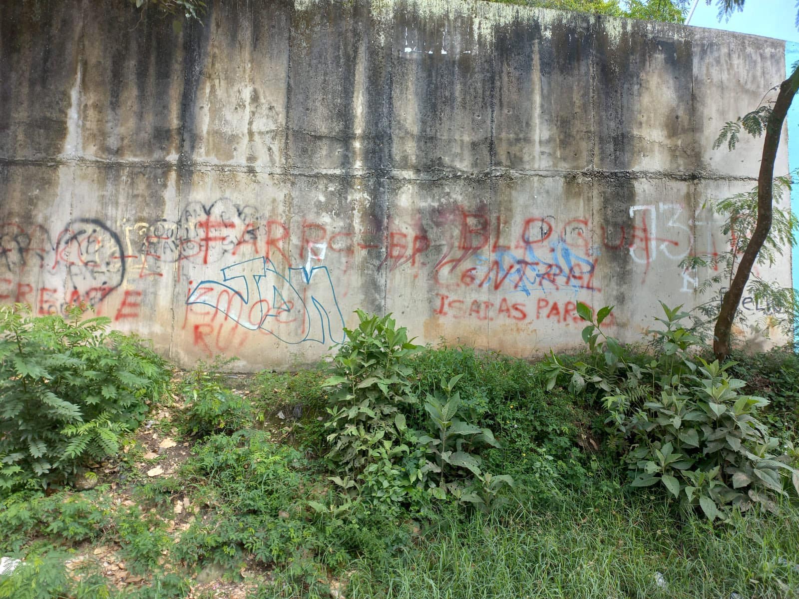 Grafitis en Planadas: ¿Mensaje de las FARC en su 60 aniversario? 1