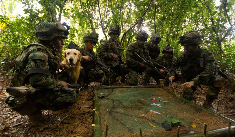 Operaciones militares continúan contra grupos armados Ismael Ruiz en el sur y la Darío Gutiérrez en el norte de Planadas 1
