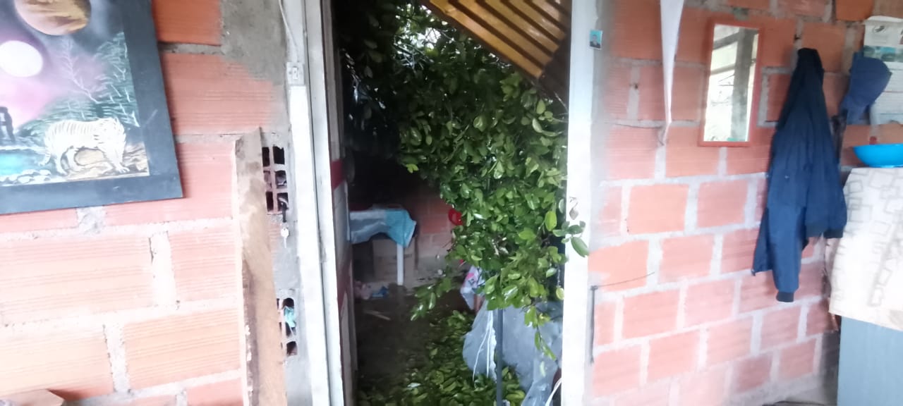 Tragedia en Chaparral: Derrumbe en vereda forestal deja una persona fallecida y otra herida 1