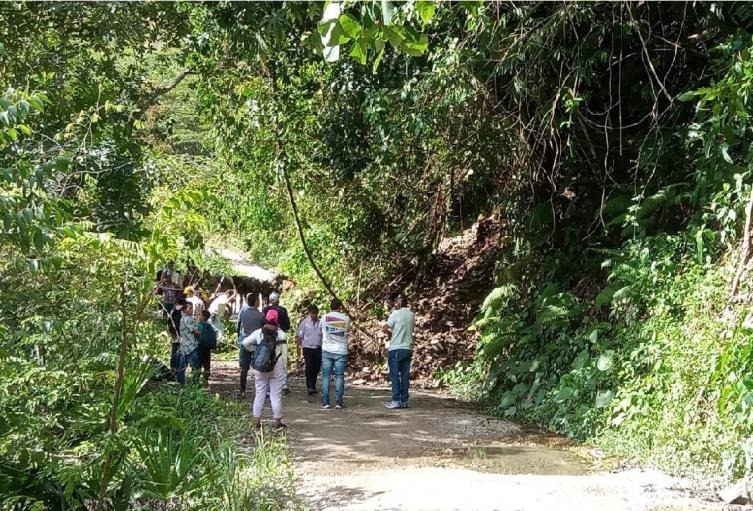 Cafeteros de Rovira claman por apoyo: Vías en mal estado afectan transporte de productos 1