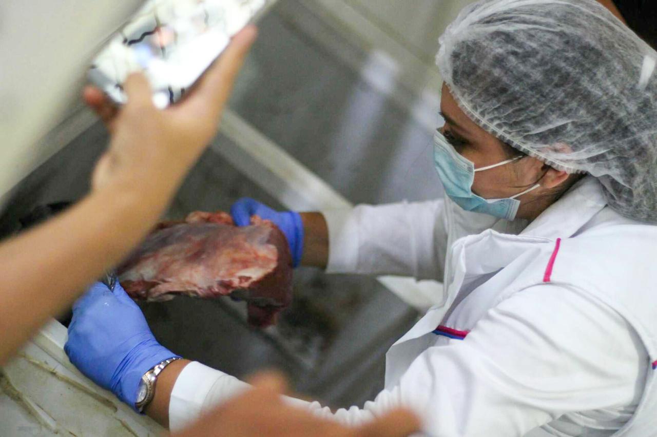 Incauta 335 kilos de carne en mal estado listos para la venta 3