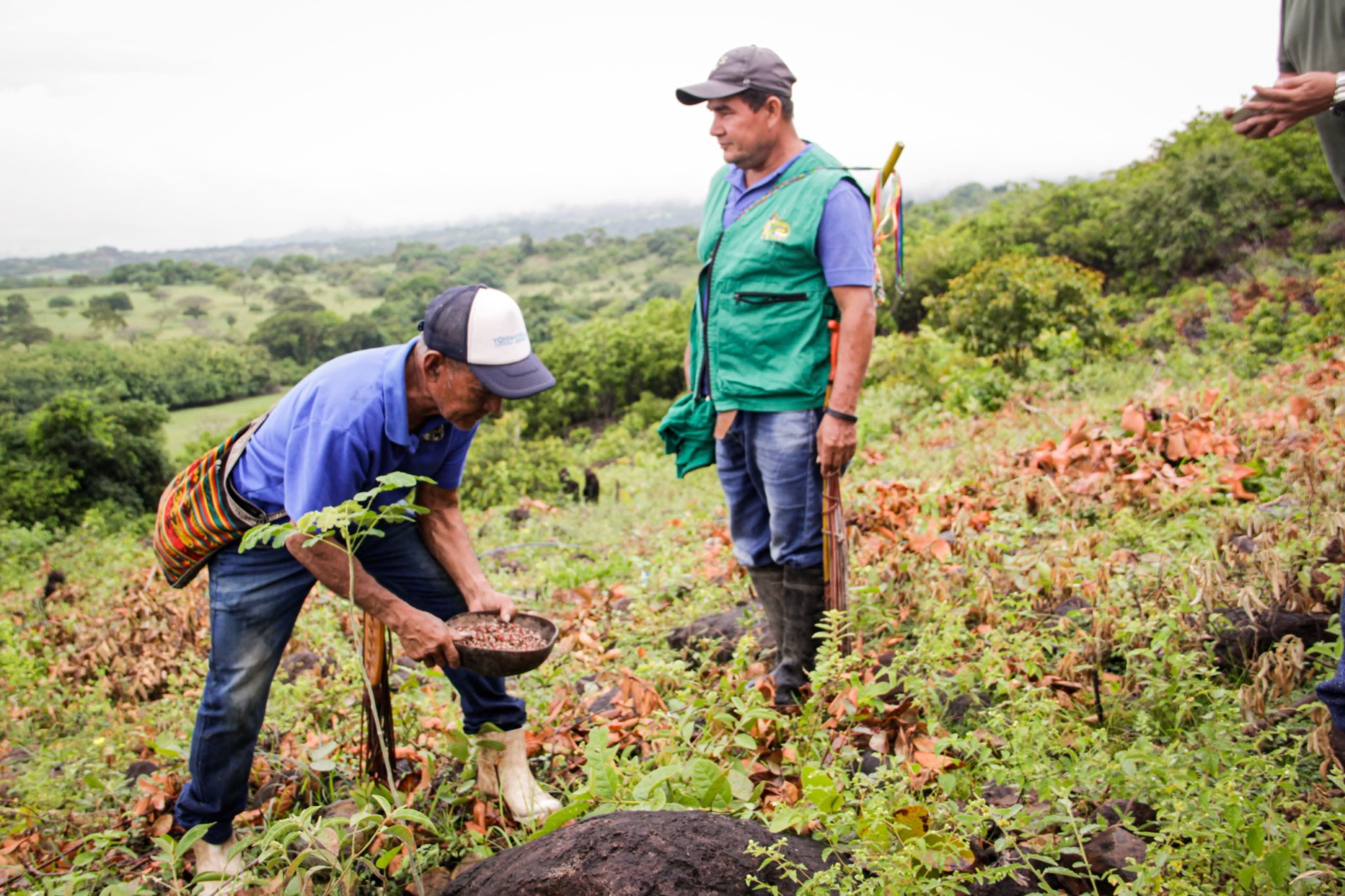 Cortolima restaura predios de cinco resguardos indígenas 1