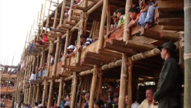 Corte Constitucional sepulta corridas de toros, gallos y corralejas: “Hoy se derrumba la barbarie”, advierte senadora Andrea Padilla 10