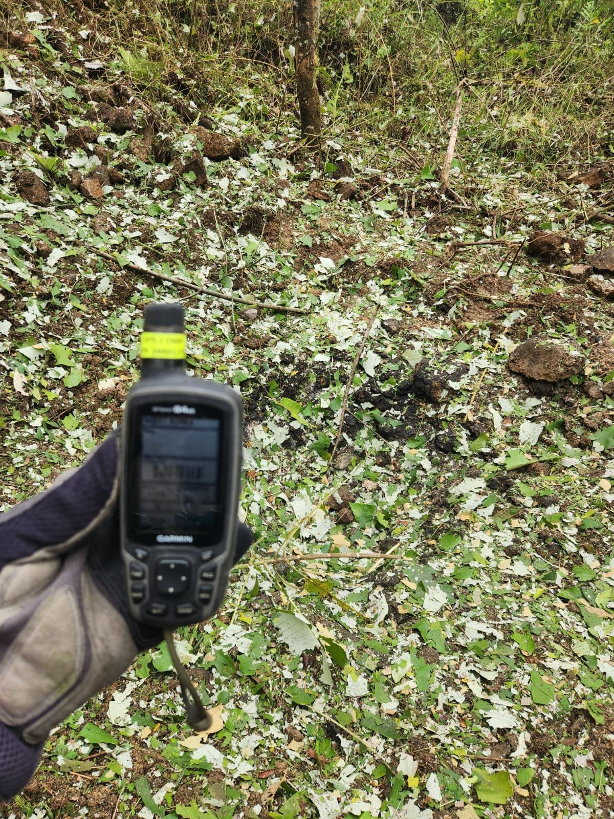  Ejército Nacional destruye material de guerra y munición en zonas rurales de Ibagué y Villarrica 7