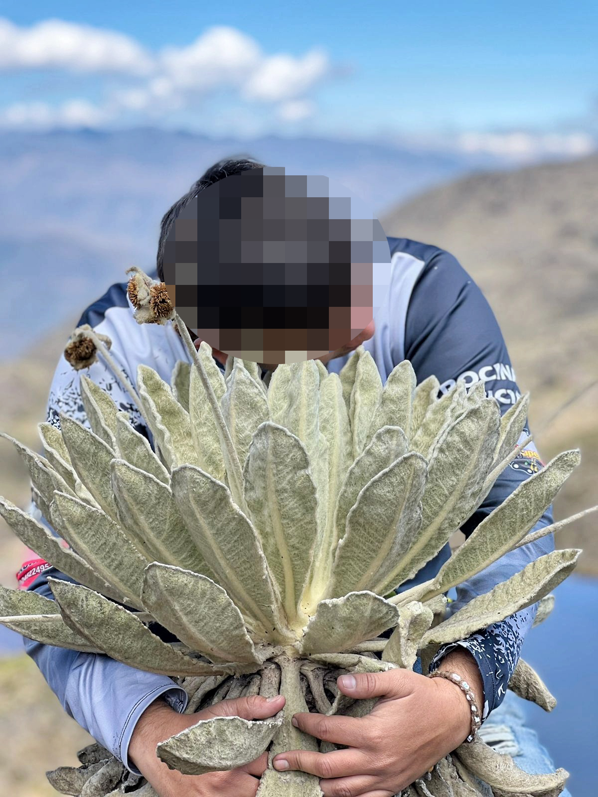 Ver y no tocar se llama respetar, El Frailejón 6