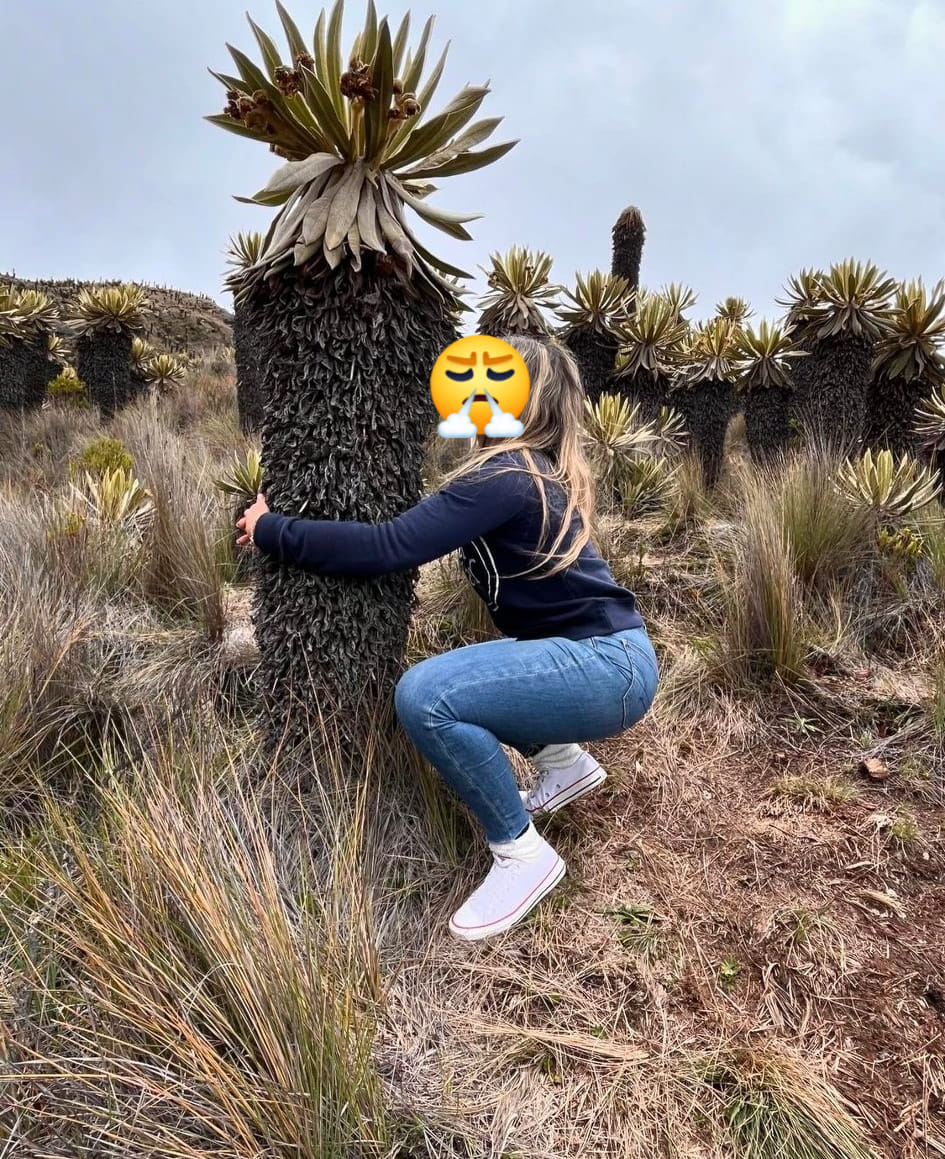 Ver y no tocar se llama respetar, El Frailejón 7