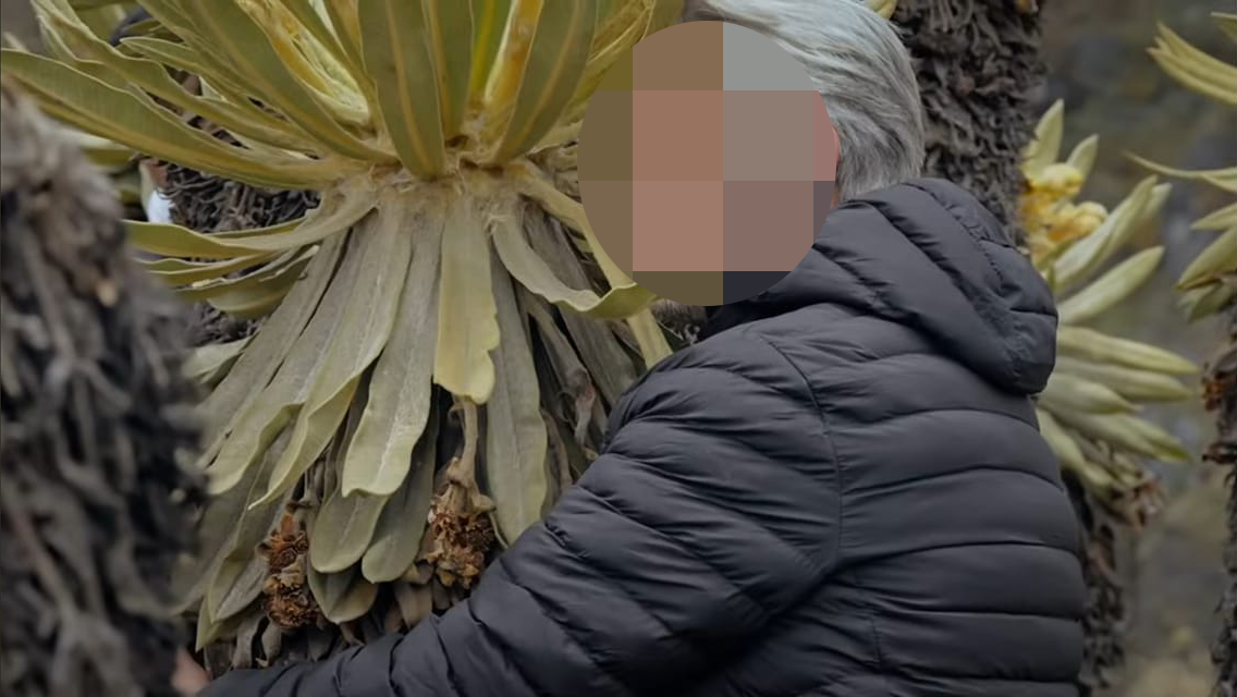 Ver y no tocar se llama respetar, El Frailejón 5
