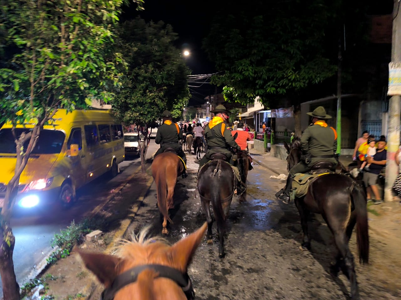 Caballo de Carabineros fue atropellado por conductor en presunto estado de embriaguez 3