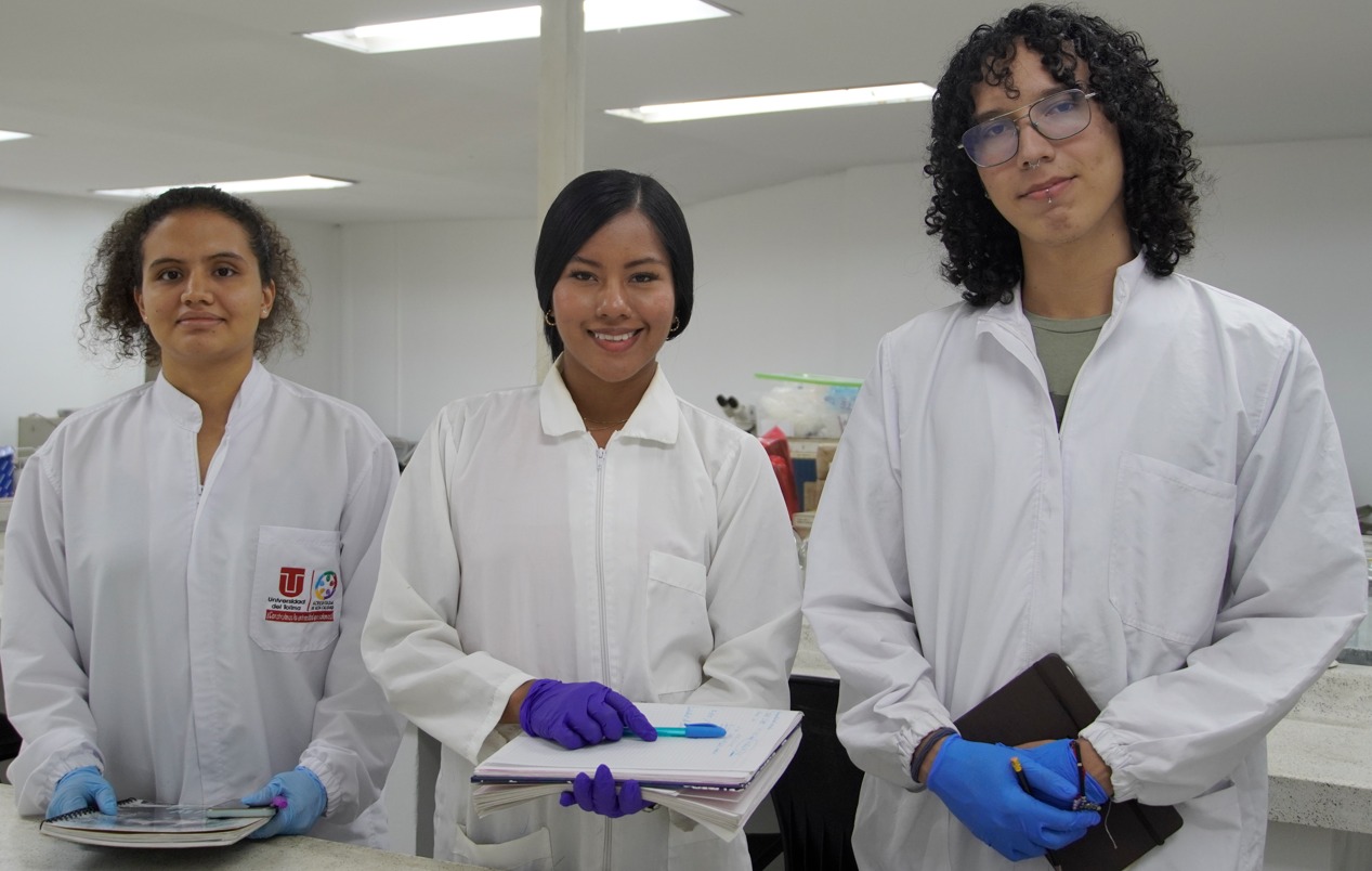 Histórico Crecimiento de Inscripciones en la Universidad del Tolima 4