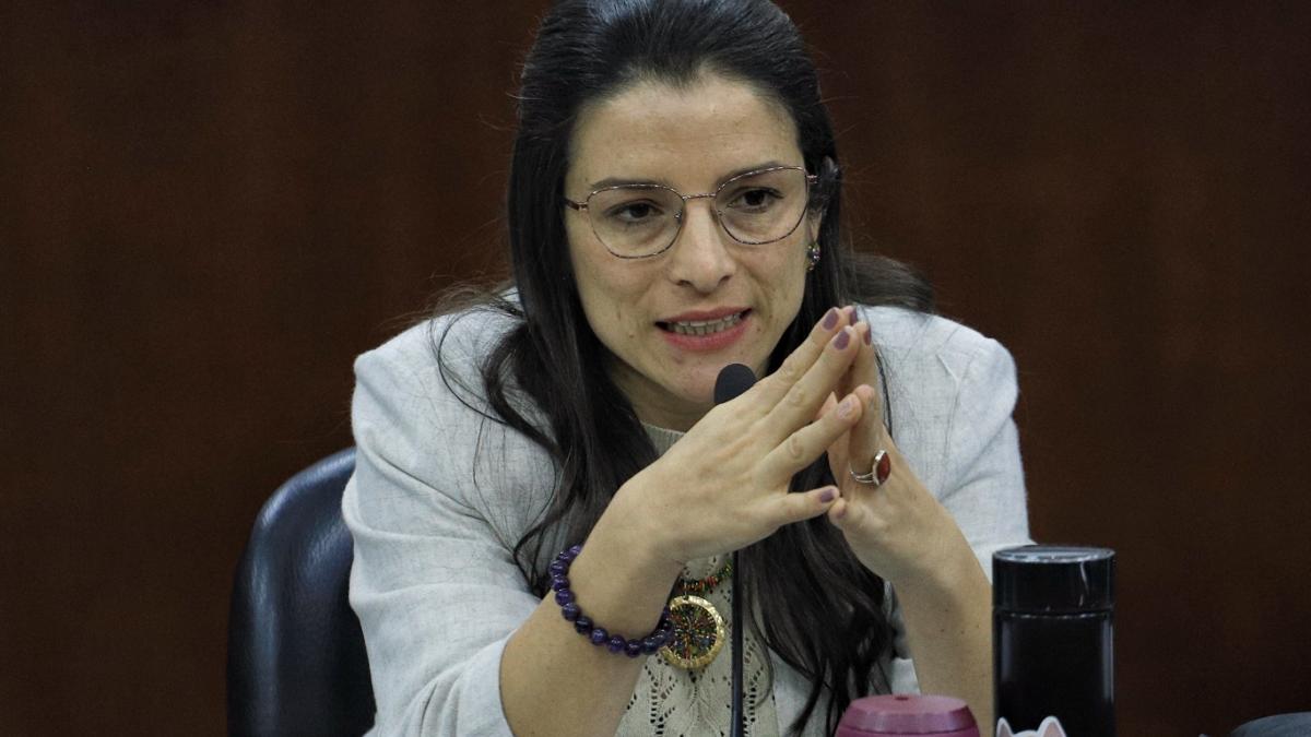Llamado urgente por la Paz: Marta Alfonso pide fin a la violencia del ELN 1