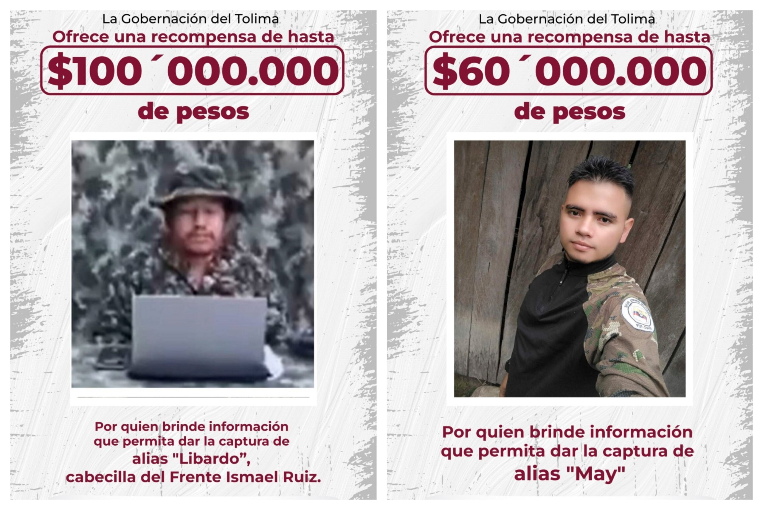 Gobernadora del Tolima anuncia recompensa de $100 millones por alias 'Libardo González', cabecilla de las disidencias 3