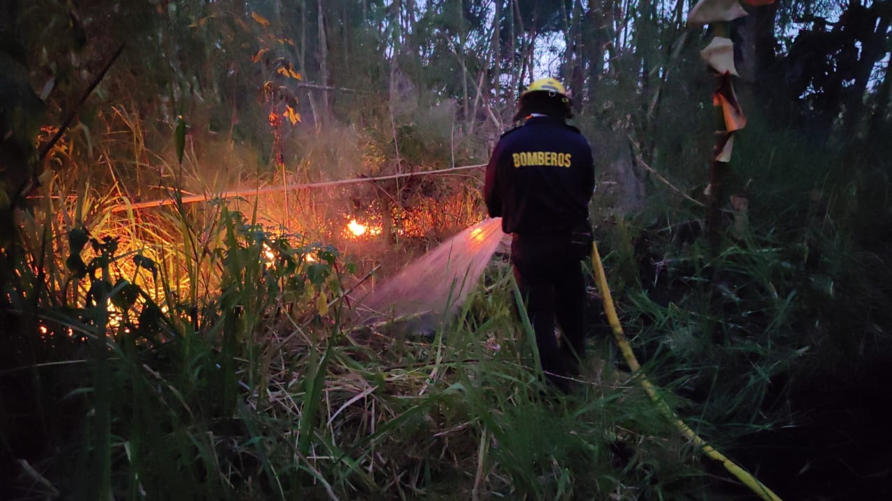Bomberos apagaron ocho incendios forestales en menos de 24 horas en Ibagué 1