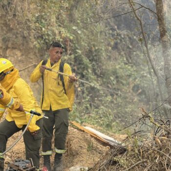 Alcalde de Ortega decreta la alerta roja por incendios forestales: "debemos reaccionar ante cualquier novedad" 7