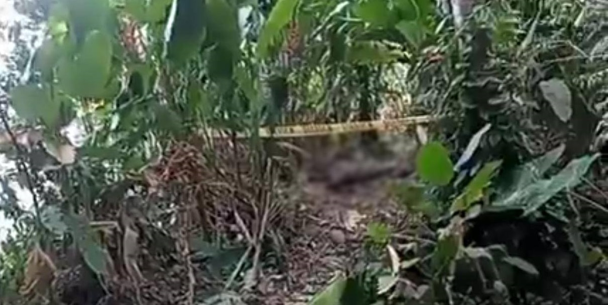 Macabro hallazgo en Purificación: encuentran cuerpo en descomposición en zona boscosa 1
