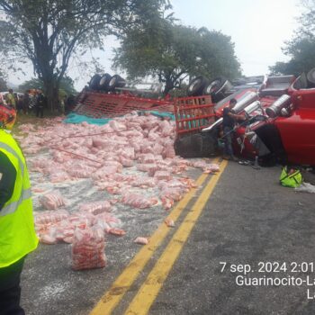Tragedia en La Dorada: Choque entre tractocamión y van de transporte público deja 5 muertos y 3 lesionados 7