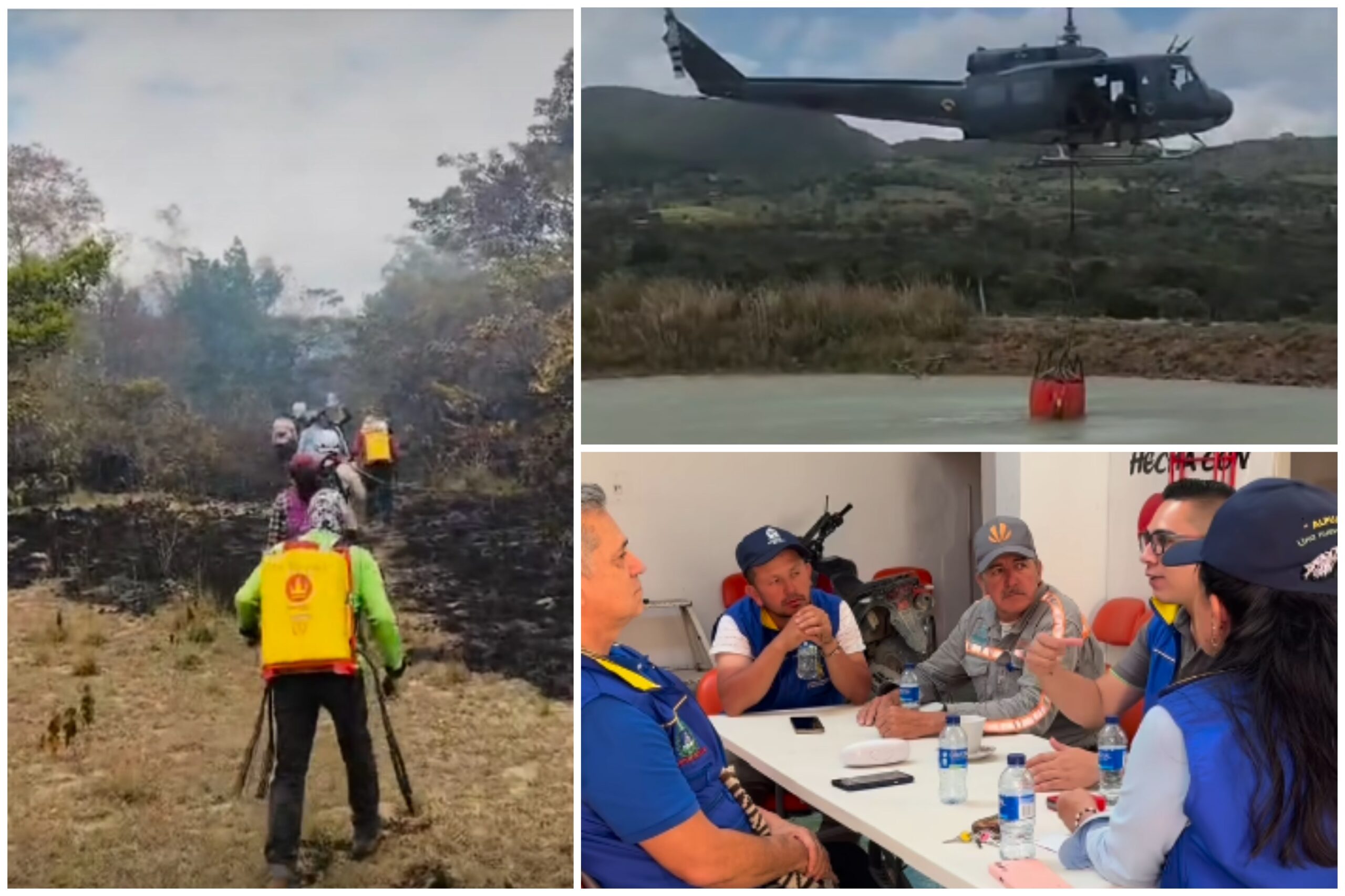 "Fueron en total 720 hectáreas las afectadas por el incendio forestal en Alpujarra": Alcalde 3