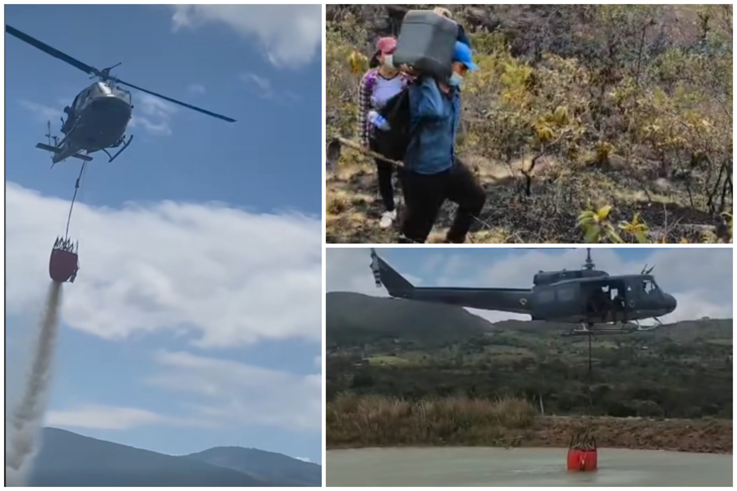 "Fueron en total 720 hectáreas las afectadas por el incendio forestal en Alpujarra": Alcalde 4