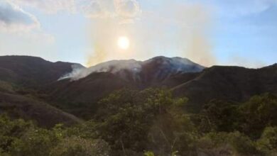Tolima activa plan de prevención ante riesgo de incendios y altas temperaturas por fenómeno de El Niño 5