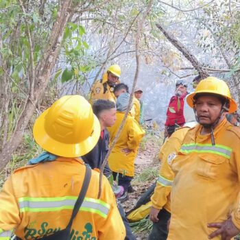 Un total de 13 municipios con incendios forestales activos en Tolima: sala de monitoreo 4