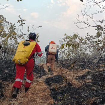 Un total de 13 municipios con incendios forestales activos en Tolima: sala de monitoreo 3