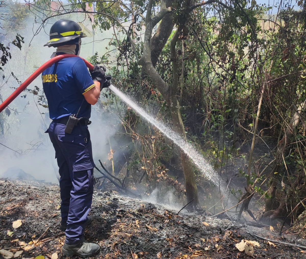 Bomberos apagaron 15 incendios forestales este fin de semana en Ibagué 1