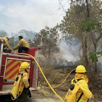 Alcalde de Ortega decreta la alerta roja por incendios forestales: "debemos reaccionar ante cualquier novedad" 4