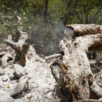 “Hicimos unos sobrevuelos donde evidenciamos una situación lamentable": Cortolima en Natagaima 7
