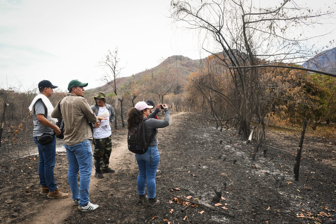 “Hicimos unos sobrevuelos donde evidenciamos una situación lamentable": Cortolima en Natagaima 1