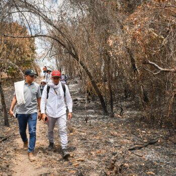 “Hicimos unos sobrevuelos donde evidenciamos una situación lamentable": Cortolima en Natagaima 4