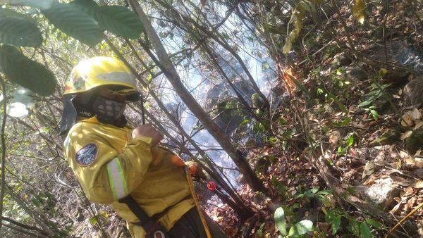 Tolima enfrenta 16 incendios forestales activos: Directora de Gestión del Riesgo 1