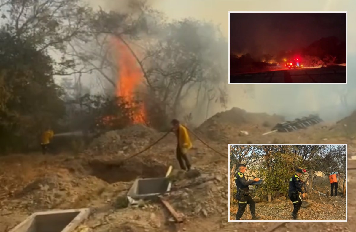 Coyaima en calamidad pública por incendios forestales: van más de 300 hectáreas arrasadas 1