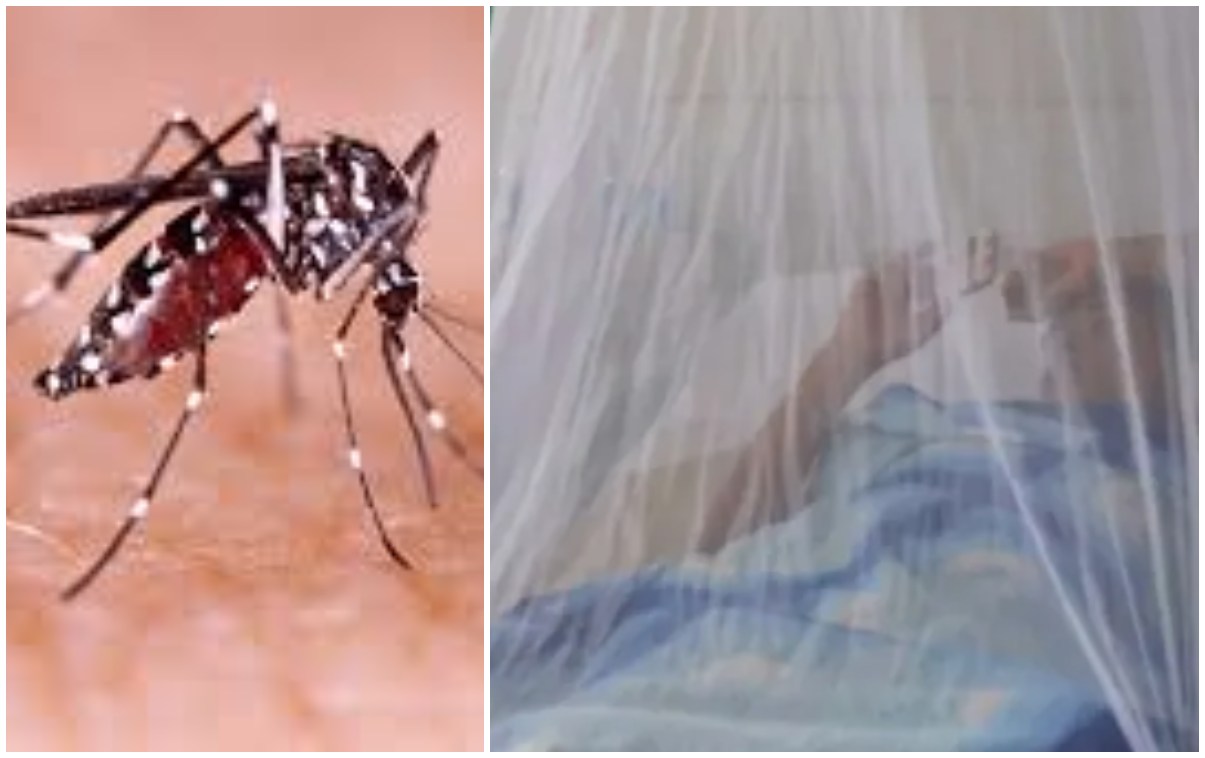 Minsalud insta a reforzar medidas contra el dengue por efectos de El Niño y La Niña 7