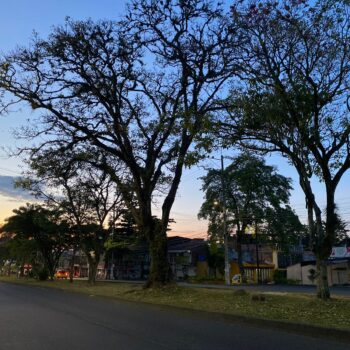Día sin carro y sin moto en Ibagué se inició con normalidad 2