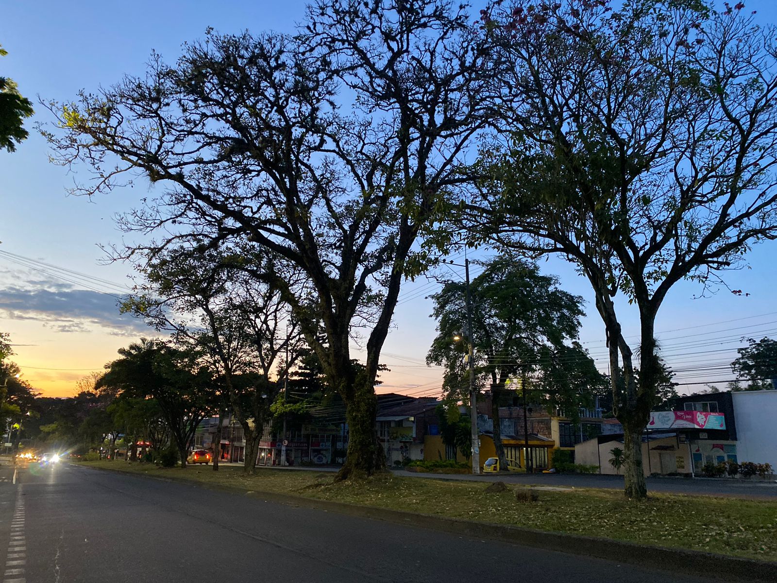 Día Sin Carro y Sin Moto de manera voluntaria en Ibagué 1