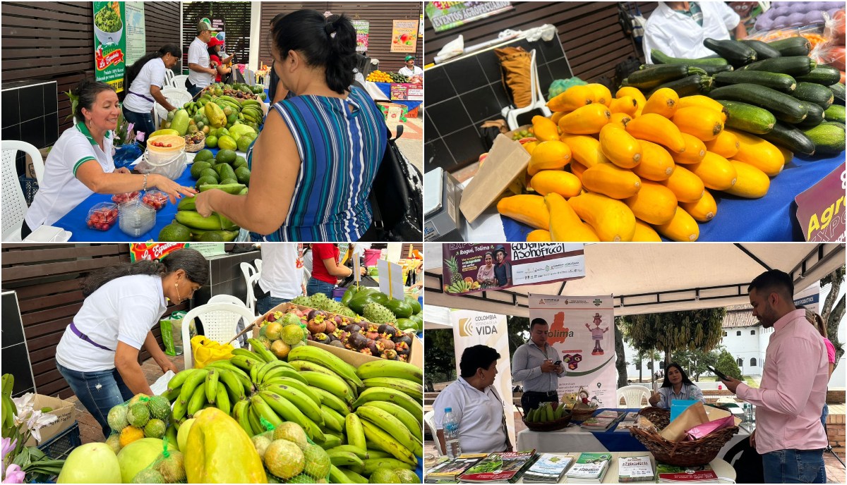 Panóptico recibe la Feria Expofrutas en Ibagué, que promueve la agricultura sostenible 1