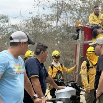 Alcalde de Ortega decreta la alerta roja por incendios forestales: "debemos reaccionar ante cualquier novedad" 2
