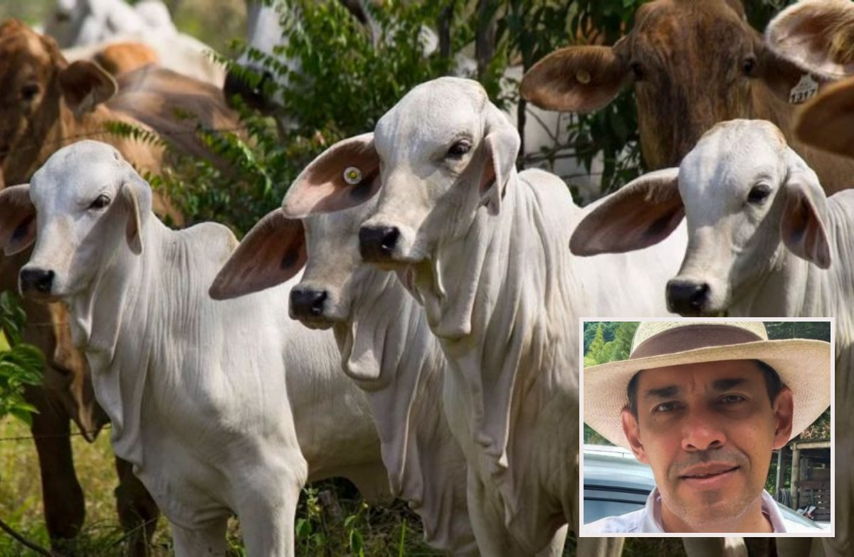 ganaderos