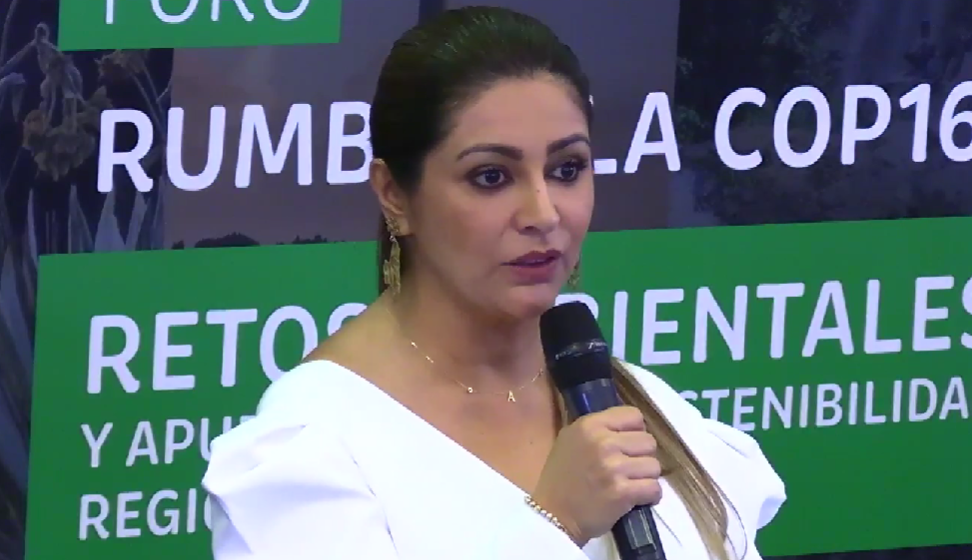 “Van más de 12.000 hectáreas de vegetación consumidas por las llamas”: nuevo llamado del Tolima al Gobierno   1