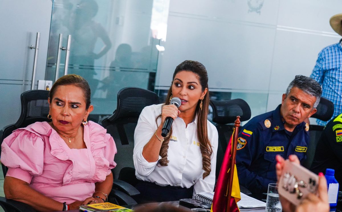 Hasta $10 millones ofrece la Gobernación del Tolima por 'pirómanos' en el reinicio de un incendio en Natagaima 1